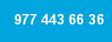 977 443 66 36